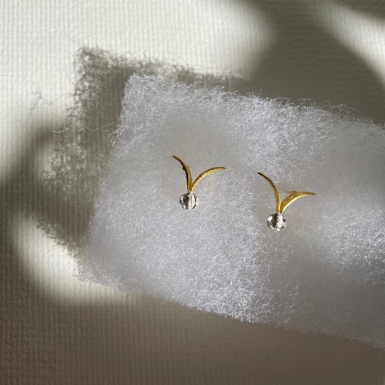 Image of Samara earrings