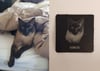 Pet Portrait on 4"x4" slate