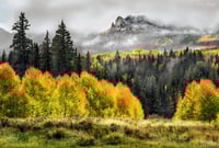 Image 2 of Four Faces of Autumn 