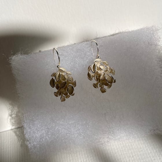Image of Coralline earrings