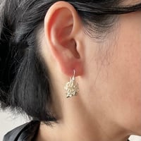 Image 2 of Coralline earrings