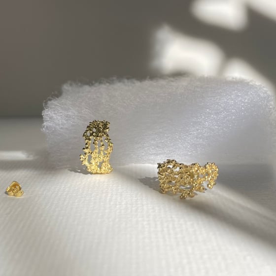 Image of Gold reef earrings
