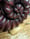 Image of Ammonite