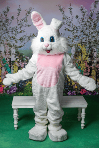Image 4 of Easter Bunny Costume minis April 12th