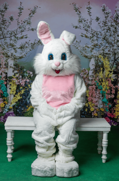 Image of Easter Bunny Costume minis March 15th