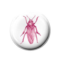 Image of Pin-button insect in pink