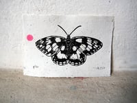 Image 1 of Schachbrettfalter - Stempeldruck 