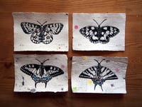 Image 5 of Schachbrettfalter - Stempeldruck 