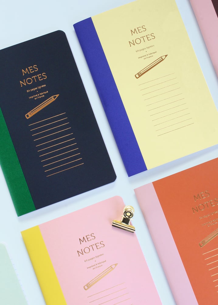 Image of CAHIERS BI-GOÛTS bleu et vert d'eau