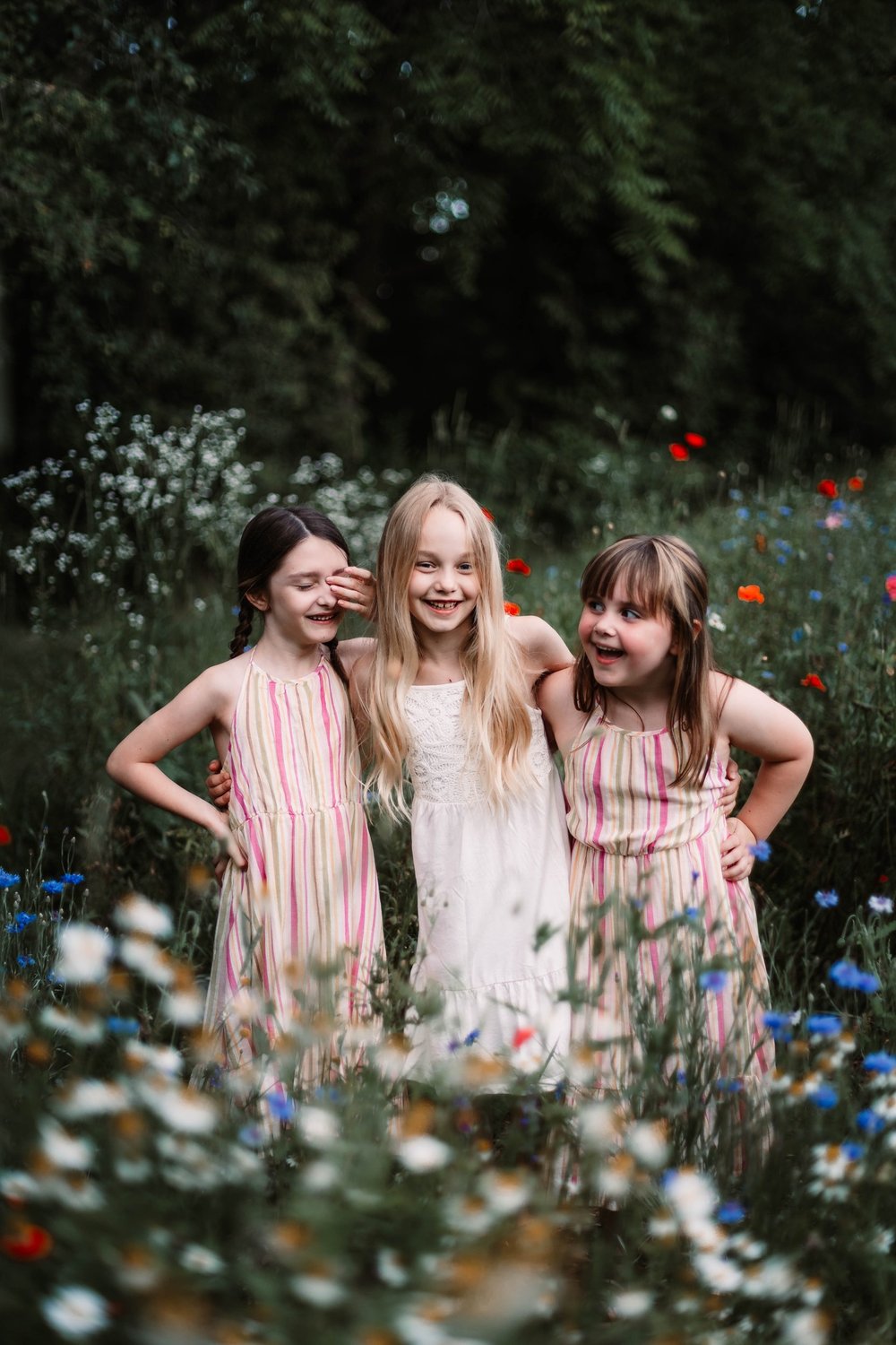 Image of Sunset Flower Farm Minis - Deposit