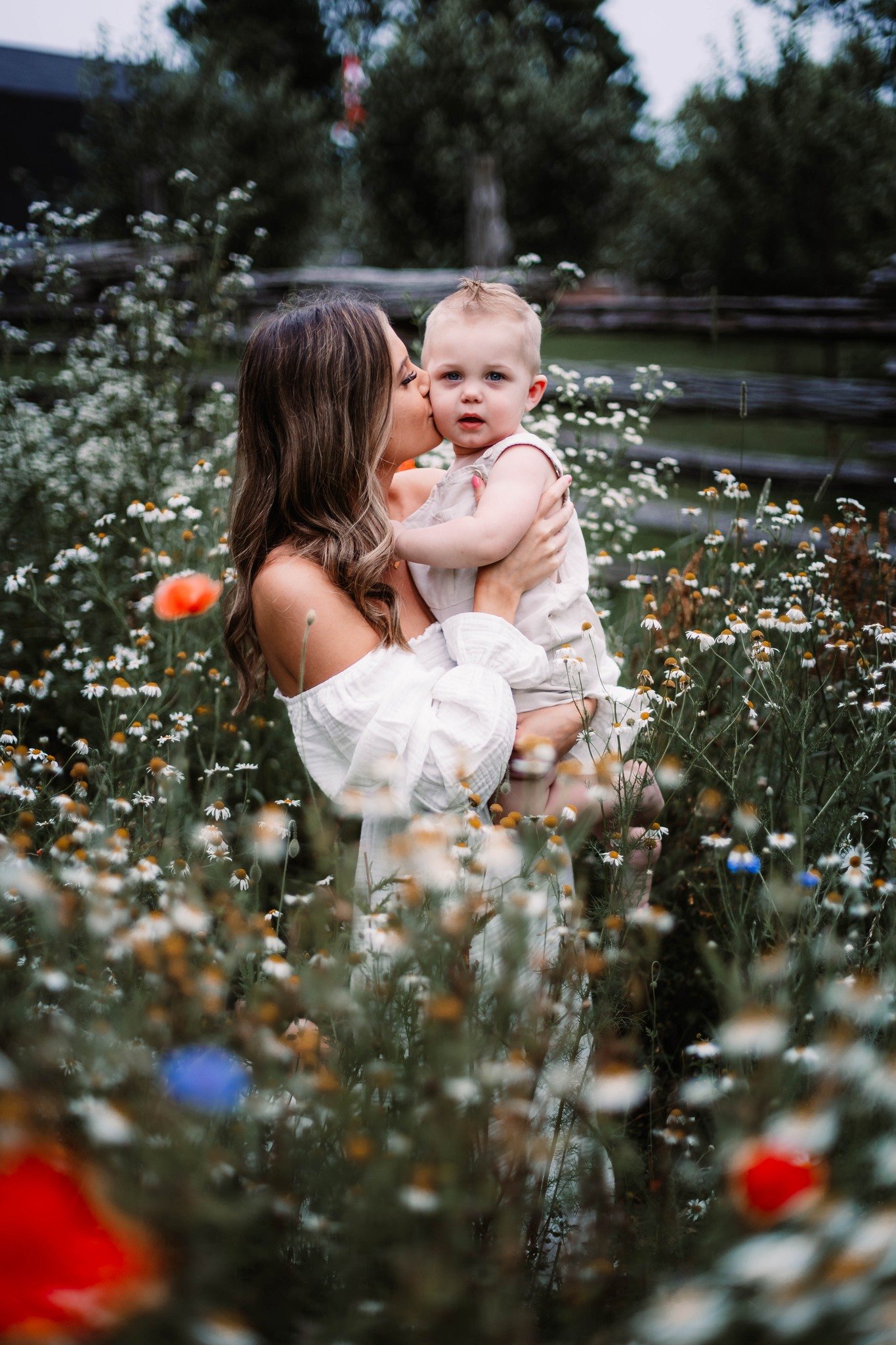 Image of Sunset Flower Farm Minis - Deposit