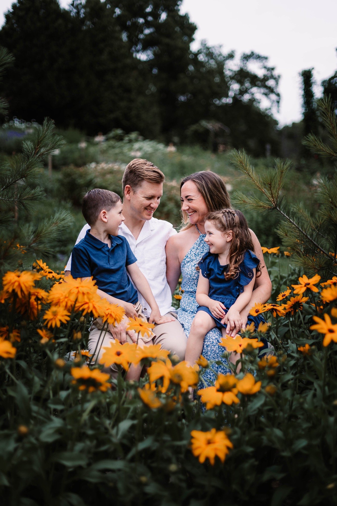 Image of Sunset Flower Farm Minis - Deposit