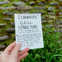 Zine