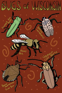 BUGS OF WISCONSIN Print