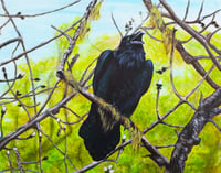 Image 1 of Black Bird Sings (Color) 11 x 14" Print
