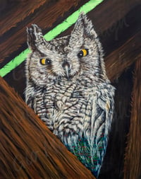 Image 1 of Horned Owl Loading 11 x 14" print