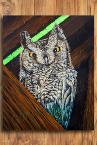 Image 2 of Horned Owl Loading 11 x 14" print
