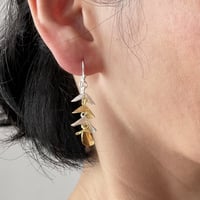 Image 2 of Caudal earrings