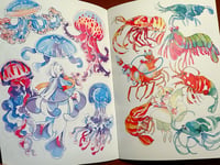 Image 2 of Ocean's Bounty Artbook (2024)