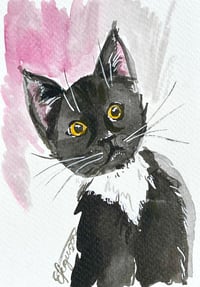 Image 2 of  'Cute Cats' Postcard Set 
