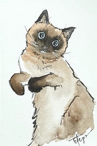 Image 3 of  'Cute Cats' Postcard Set 
