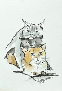 Image 4 of  'Cute Cats' Postcard Set 