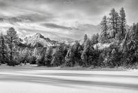 First Snow I