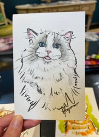 Image 5 of  'Cute Cats' Postcard Set 