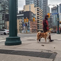 Image 2 of Spadina + Adelaide St. W. Part 1