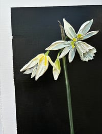 Image 3 of Narcissus Thalia