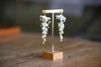 Image 1 of Laura pour elle - boucles d'oreille Regent