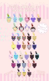 Teddy NJSJ EN Acrylic Charms