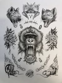 Image 3 of flashs -original