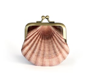Image of Seashell printed velvet coin purse with indigo silk lining
