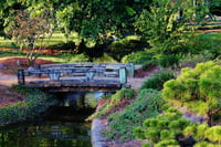 Image 2 of Japanese Garden