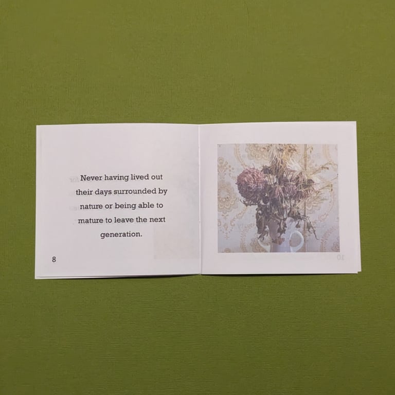 Cut Flowers - Mini Zine Image 3