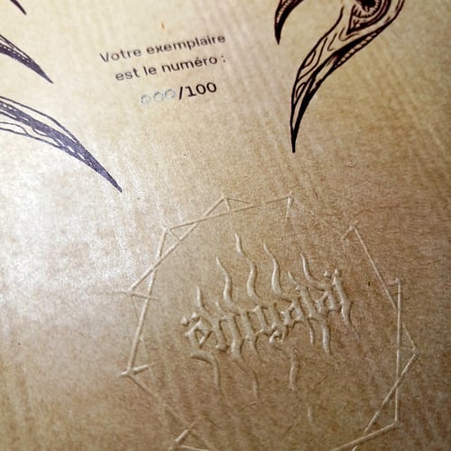 Image of Bruš Undazir - Les Racines