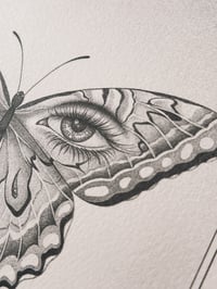 Image 2 of Butterfly Print