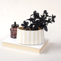 Image 1 of Striped Oval - Handmade Ceramic Planter