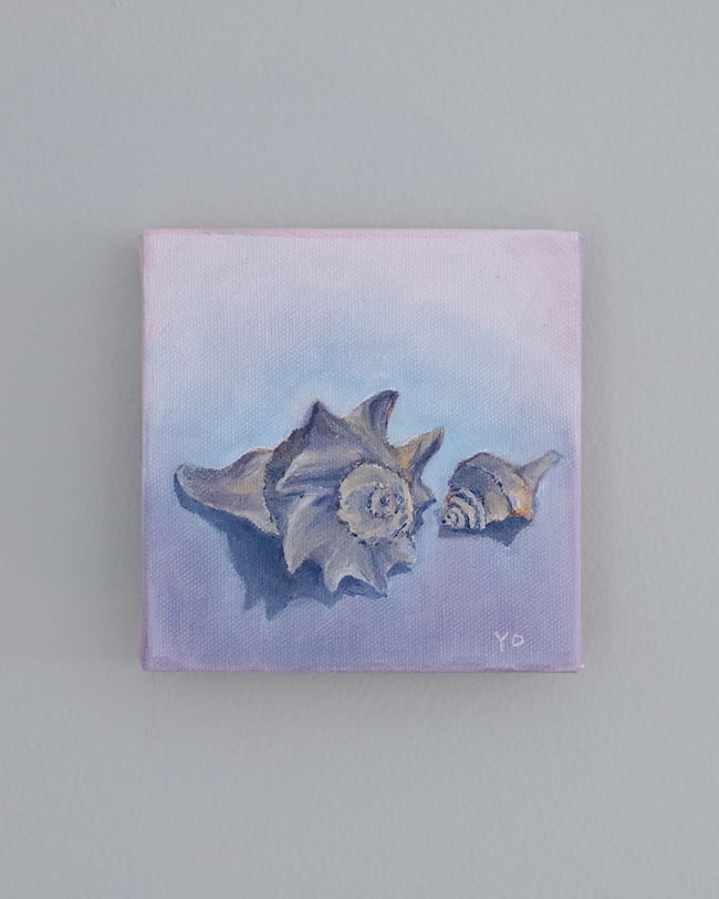 Study of Whelk Shells