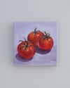 Study of Tomatoes