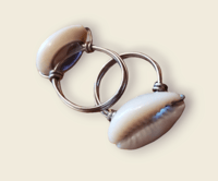 Image 1 of Cowrie Shell Ring