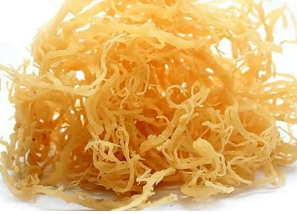 Image of 50 Grams St. Lucian Raw Gold Sea Moss