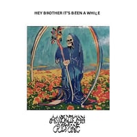 Image 1 of American Culture - Hey Brother, It's Been a While 12"