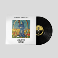 Image 4 of American Culture - Hey Brother, It's Been a While 12"