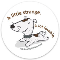 Dog: A Little Strange; A Lot Lovable