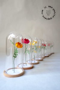 Image 1 of Mini jardin sous cloche, série 1