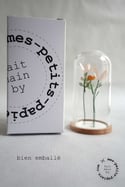 Mini jardin en papier sous cloche