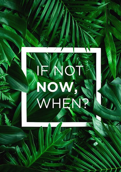 Image of If not now - when?
