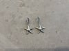sea star earrings